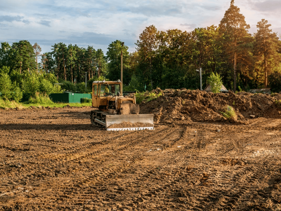 Lot Clearing project 1