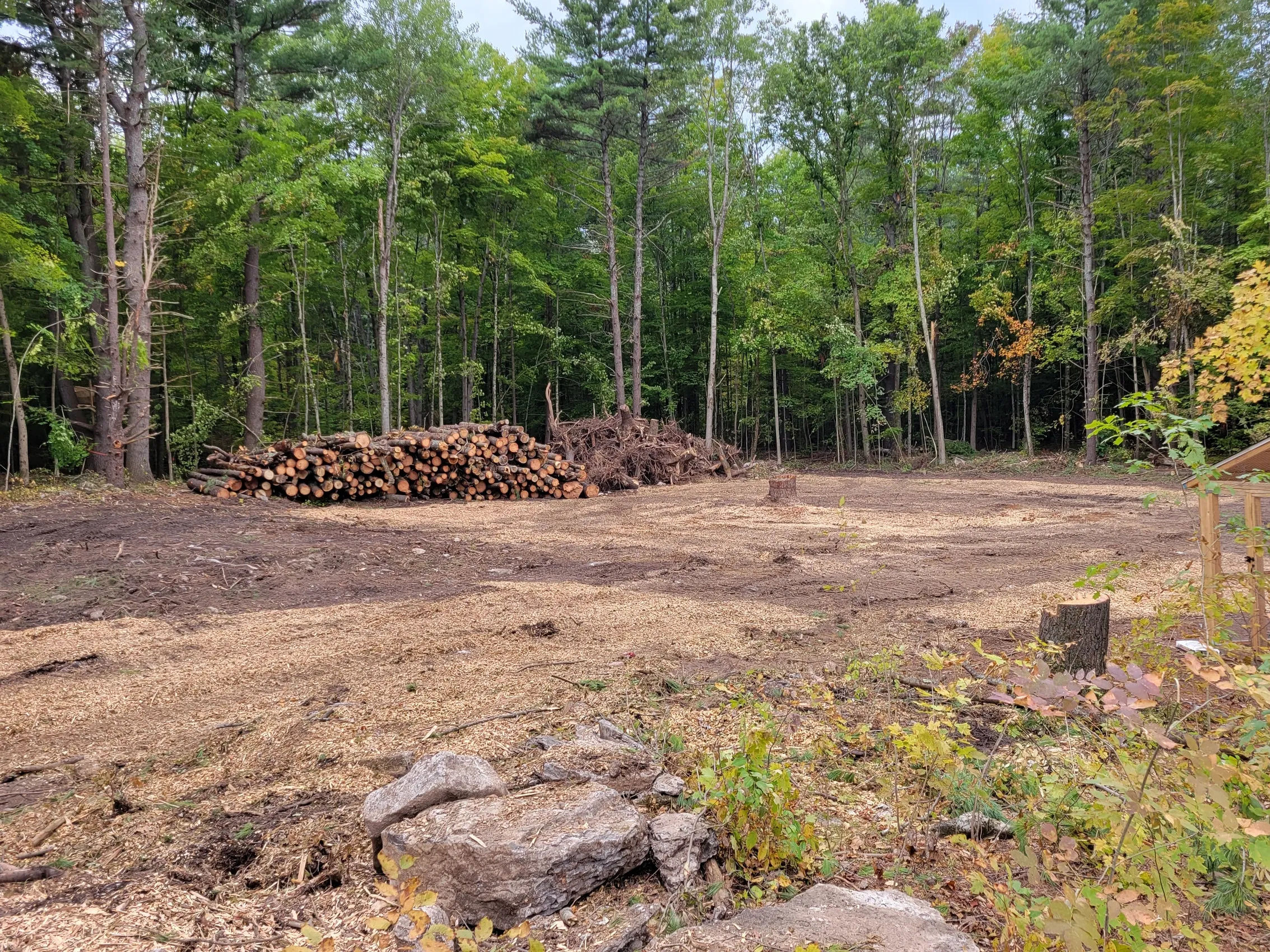 Lot Clearing project 3