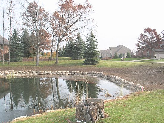 Pond Construction project 1